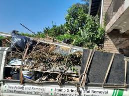 Best Shed Removal  in Walnut Grove, GA